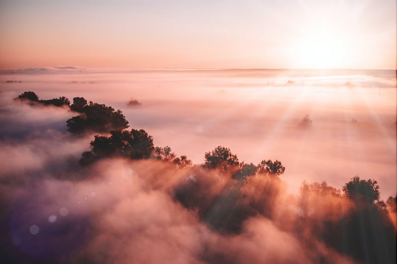 Diverse Realms